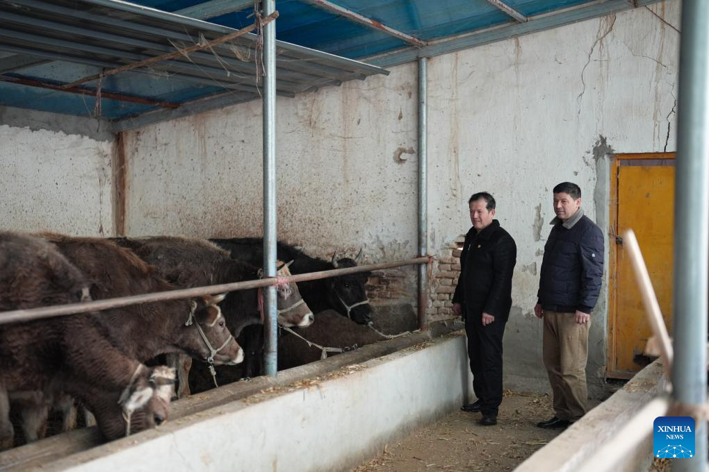 NPC deputy dedicated to rural revitalization