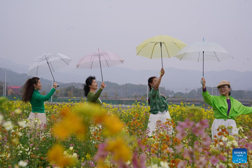 Multi-colored rapeseed flowers attract tourists in Nanchang, China's Jiangxi