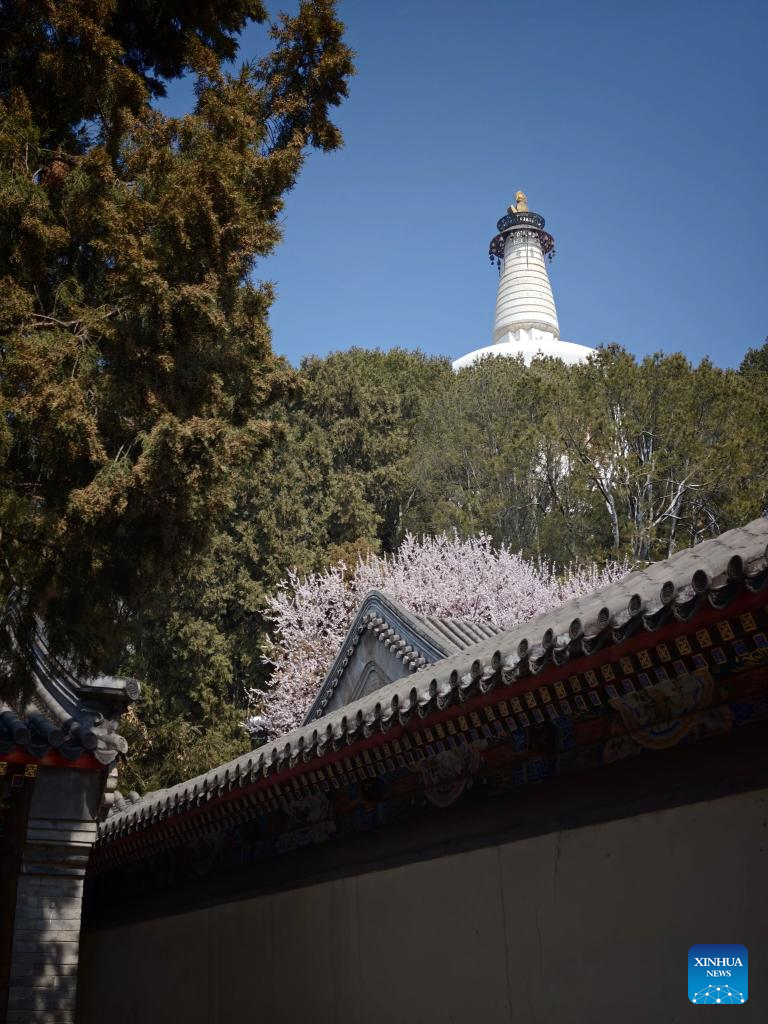 Spring view of Beihai Park in Beijing