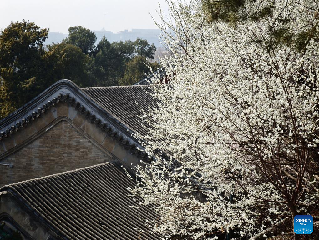 Spring view of Beihai Park in Beijing