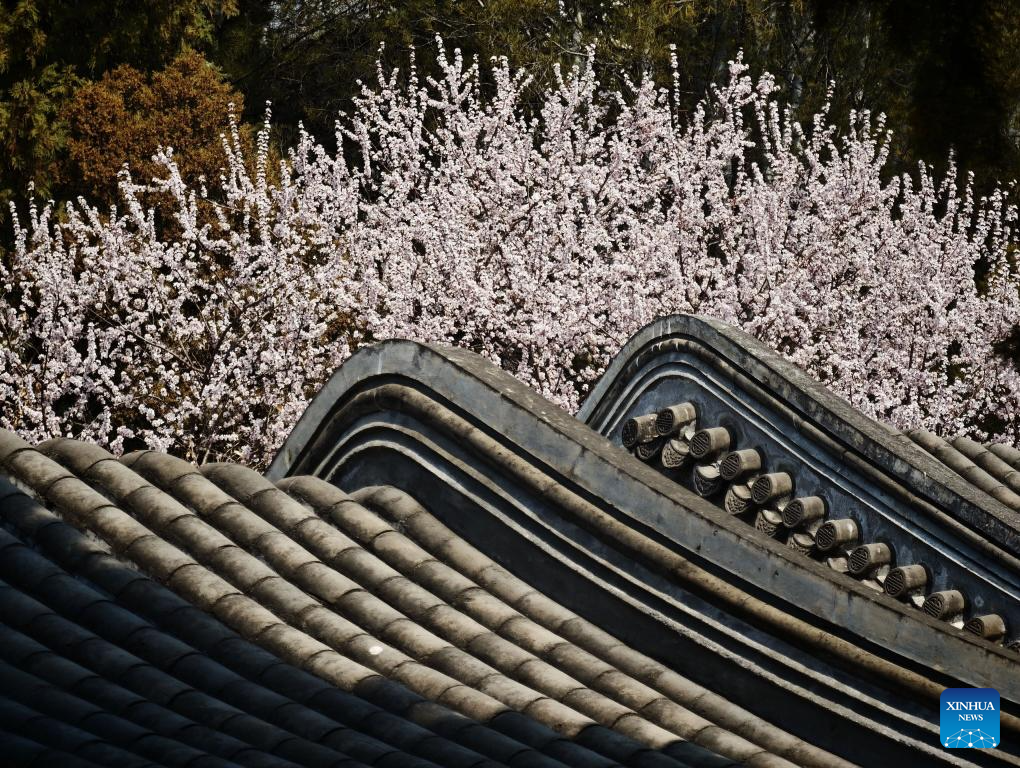 Spring view of Beihai Park in Beijing