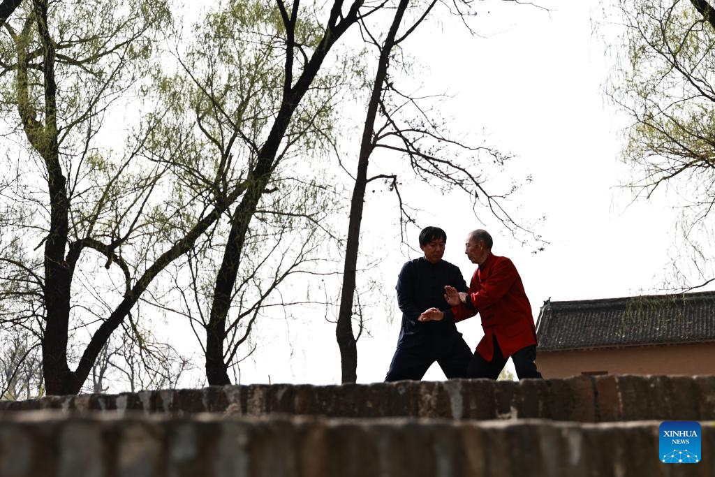 Tai Chi takes world stage as China marks first International Taijiquan Day
