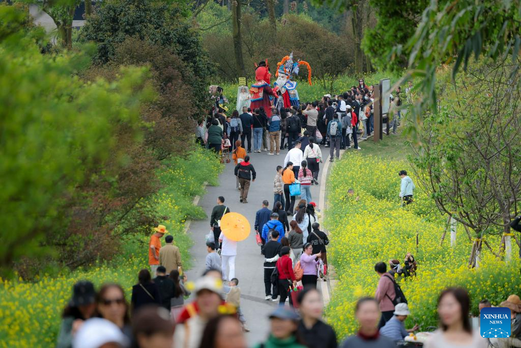 Flower-themed scenic areas drive rural tourism in Chongqing's village