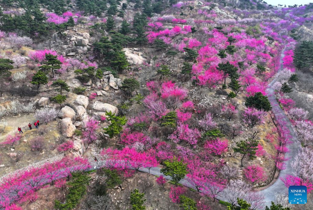 Spring scenery across China
