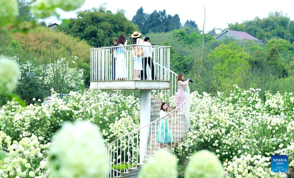 Spring scenery across China