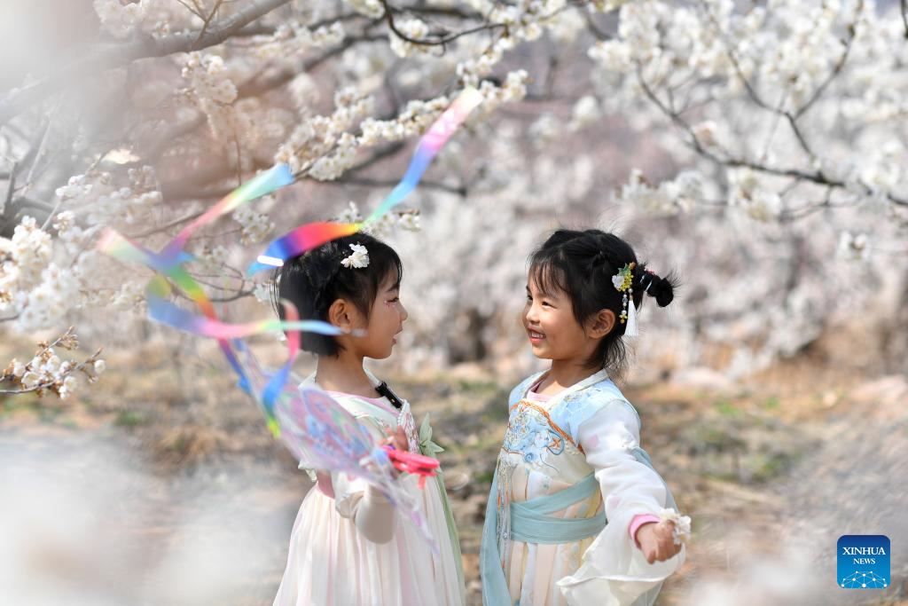 Spring scenery across China