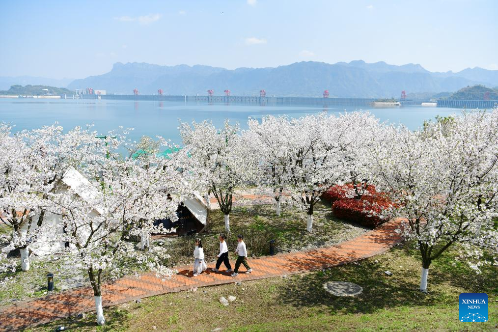 Spring scenery across China
