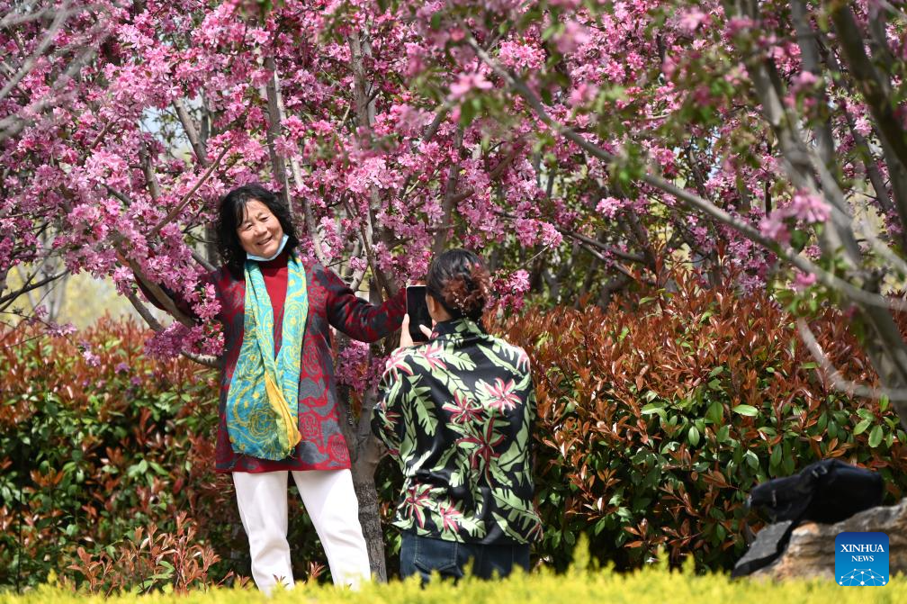 Spring scenery across China