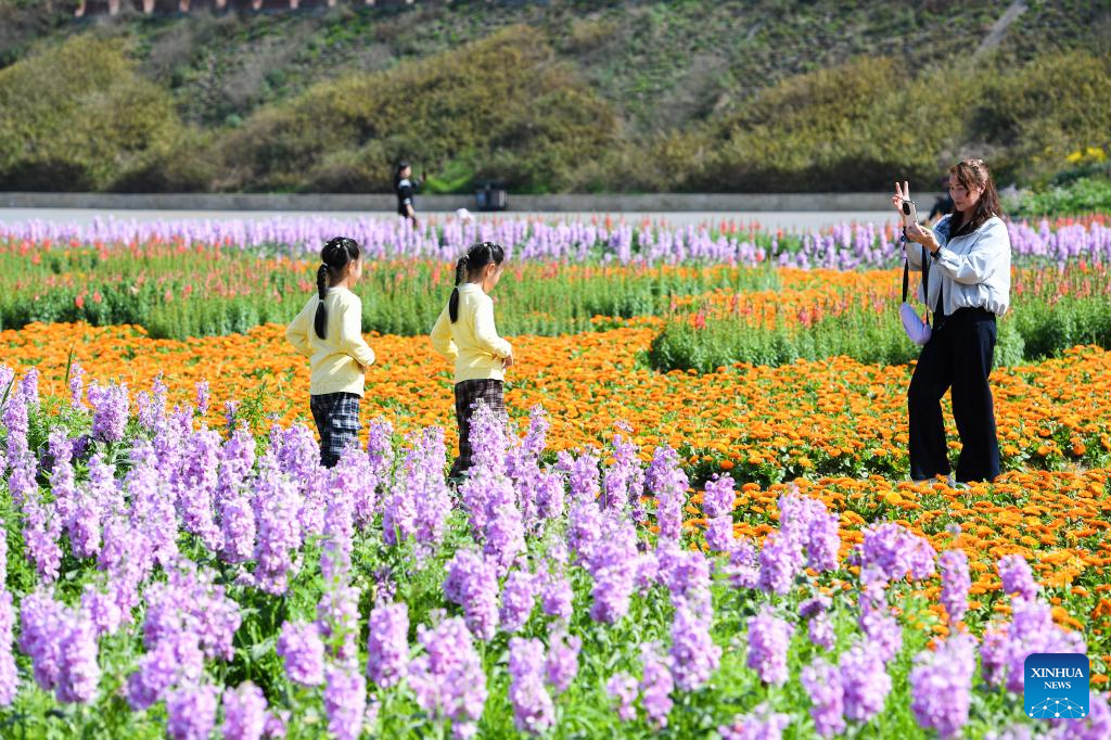 Spring scenery across China