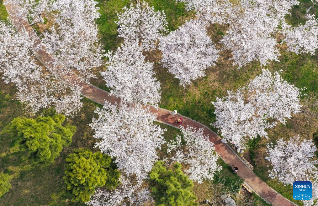 Spring scenery across China