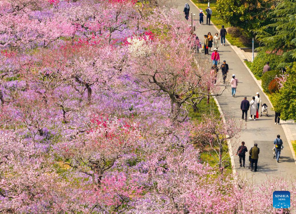 Spring scenery across China