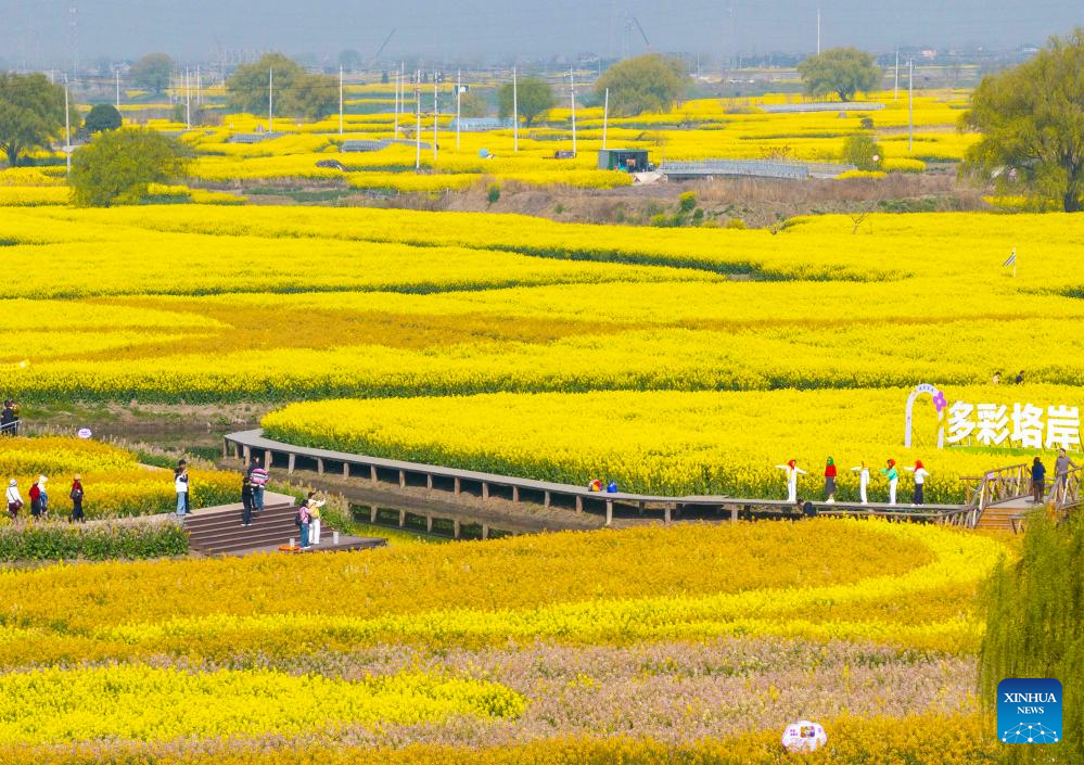 Spring scenery across China