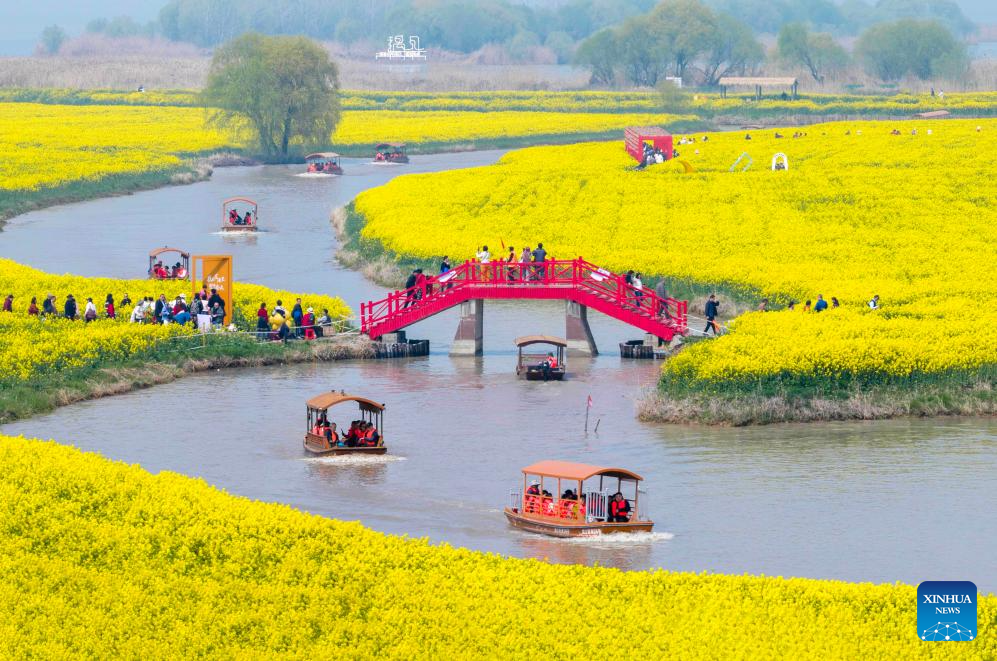Spring scenery across China