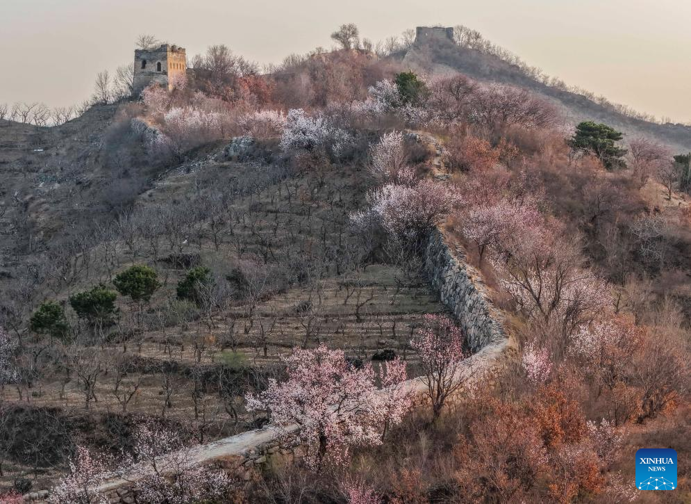 Spring scenery across China