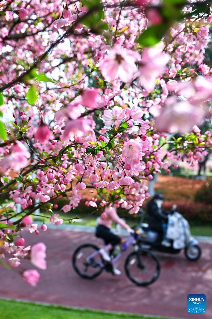 Spring scenery across China