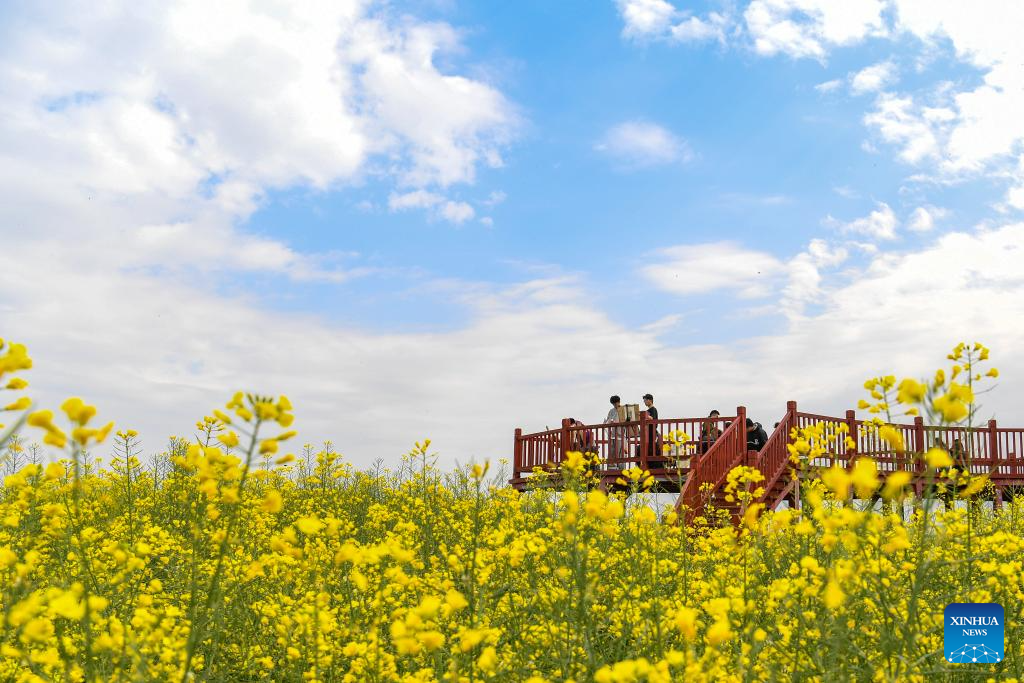 Hanzhong in China's Shaanxi boosts development of local