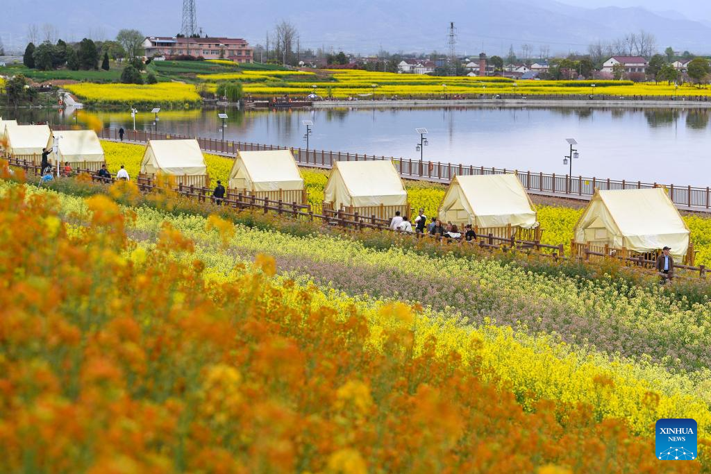 Hanzhong in China's Shaanxi boosts development of local