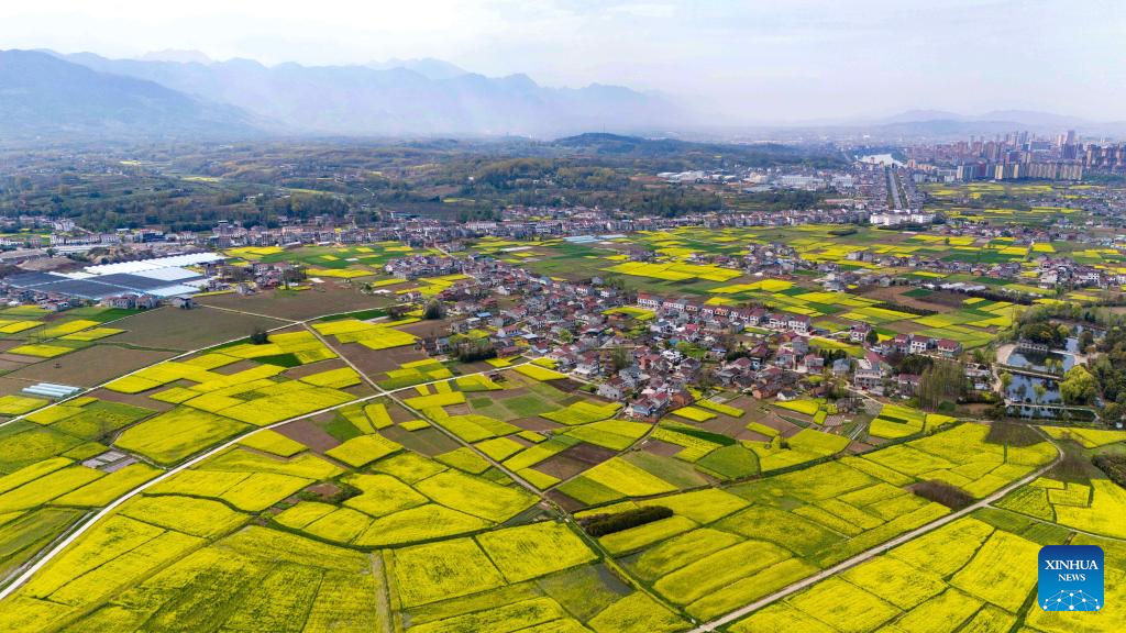 Hanzhong in China's Shaanxi boosts development of local