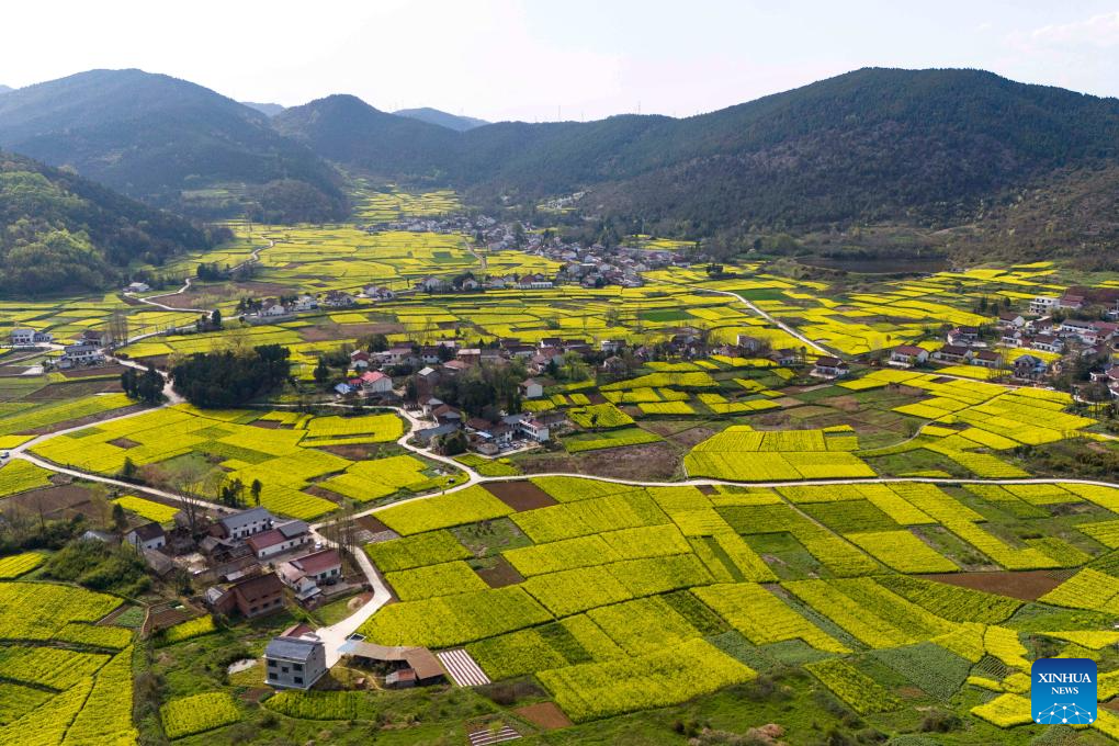 Hanzhong in China's Shaanxi boosts development of local