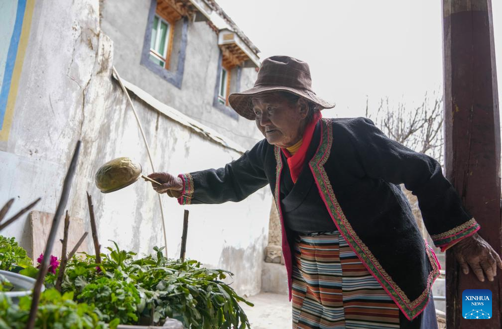 Pic story: former serf's new life in China's Xizang