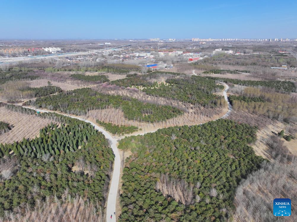 China's Xiong'an New Area evolves from blueprint into vibrant city