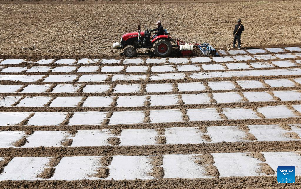 Farmers busy with spring plowing in China's Gansu