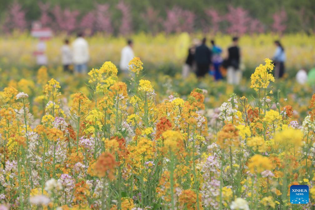 People embrace spring across China