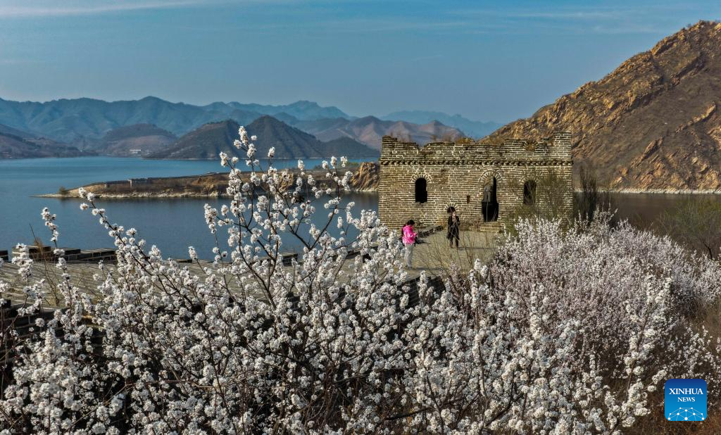 People embrace spring across China