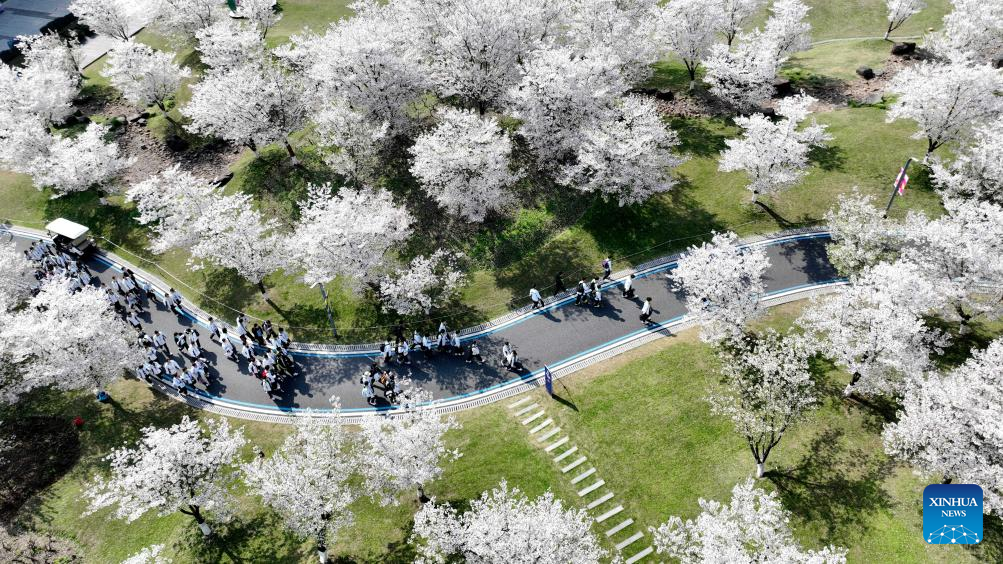 People embrace spring across China