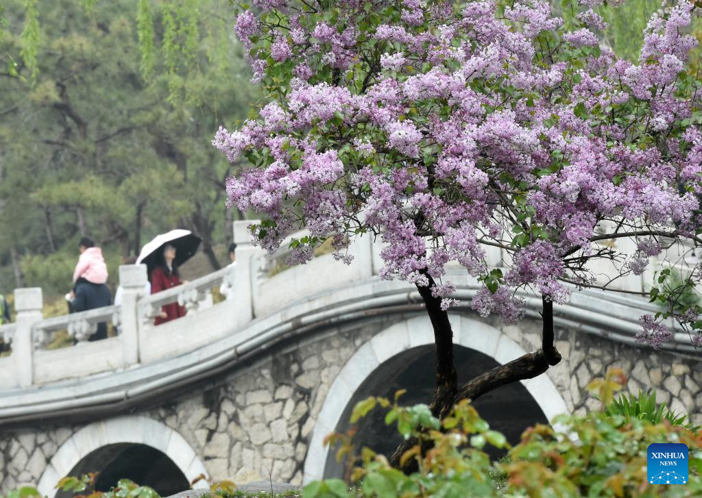 Spring tourism festival kicks off at Yuanmingyuan Park in Beijing