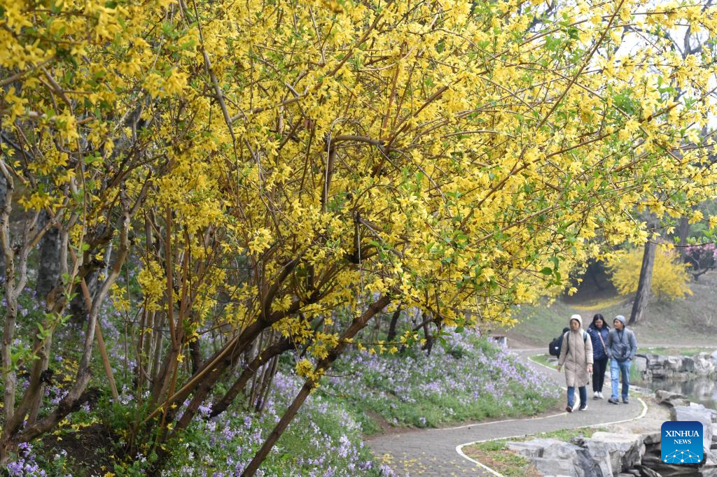 Spring tourism festival kicks off at Yuanmingyuan Park in Beijing