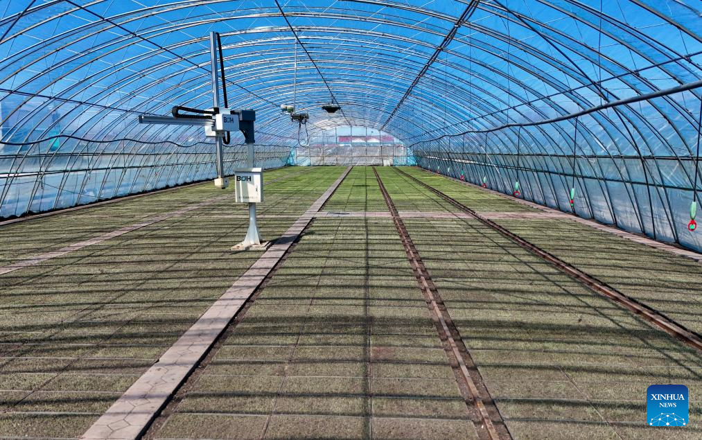 NE China's Heilongjiang enters spring ploughing season for rice