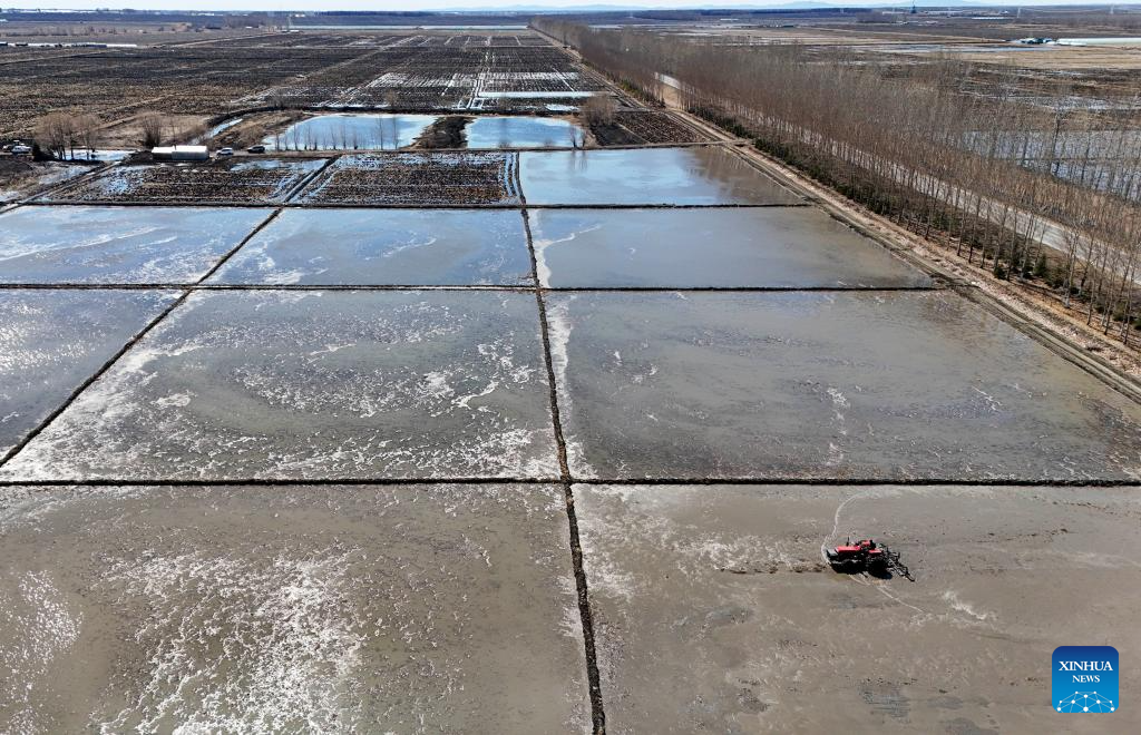 NE China's Heilongjiang enters spring ploughing season for rice