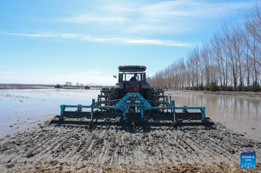 NE China's Heilongjiang enters spring ploughing season for rice