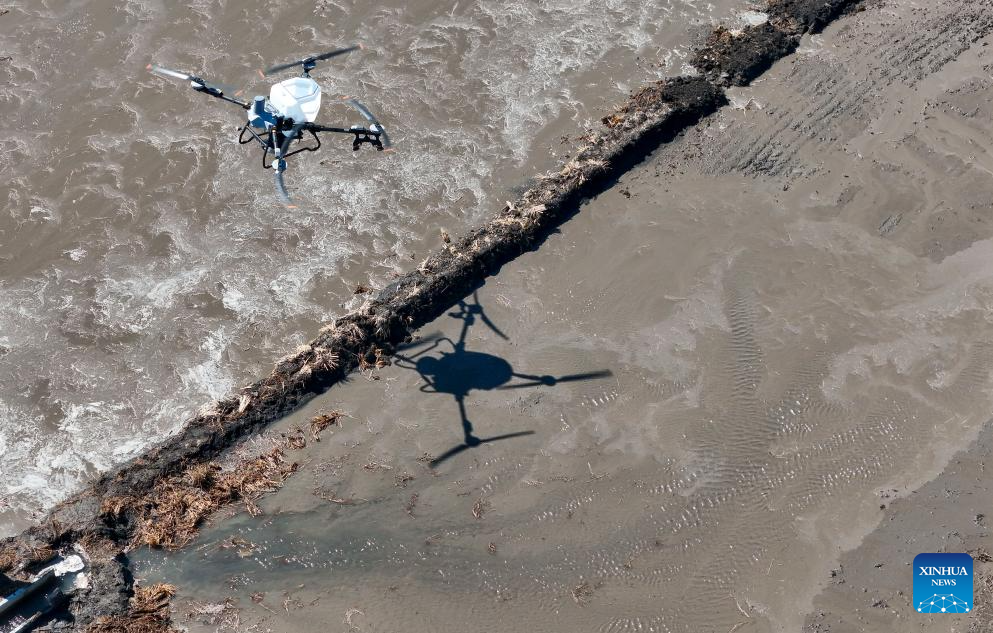 NE China's Heilongjiang enters spring ploughing season for rice