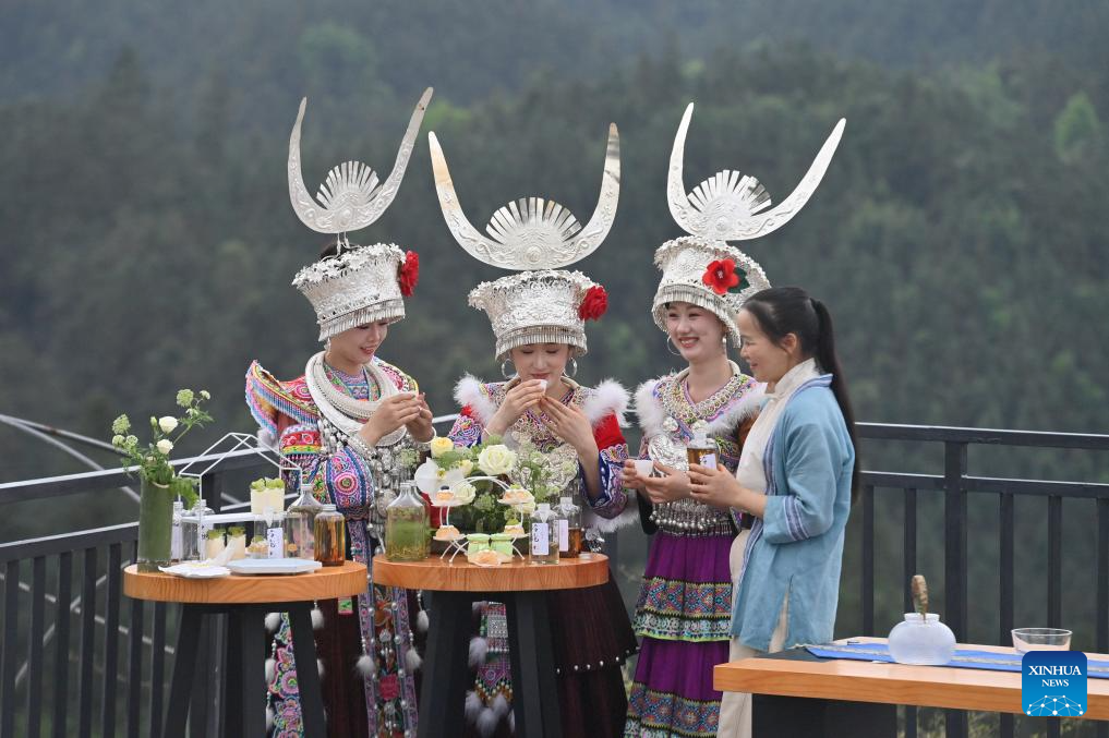 Tea industry thrives in Liuzhou, China's Guangxi