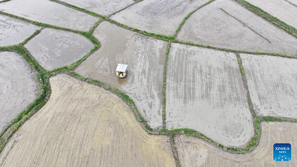 Spring farming in full swing across China