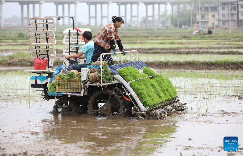 Spring farming in full swing across China