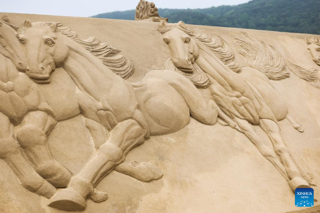 Preparation for 2026 Zhoushan sand sculpture exhibition progresses smoothly
