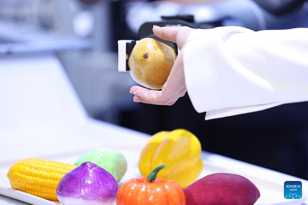 Future industries highlighted at 10th China-Russia Expo in Harbin