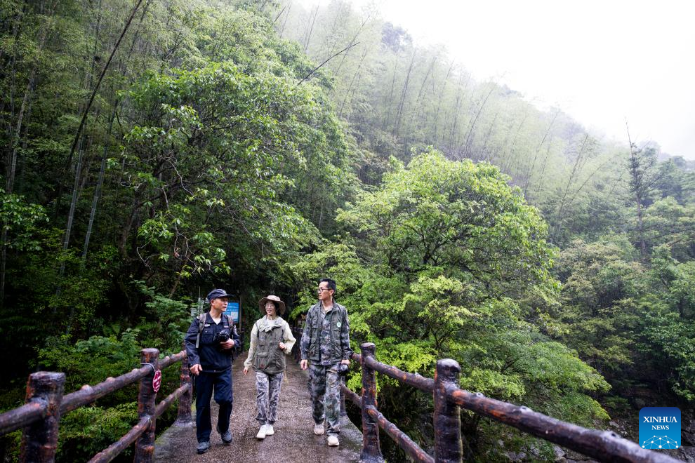 Local tea farmer guards Wuyishan National Park as part-time forest ranger in China's Fujian