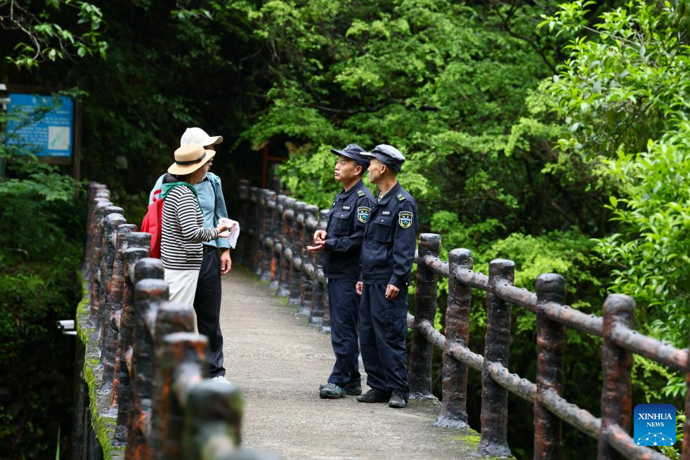 Local tea farmer guards Wuyishan National Park as part-time forest ranger in China's Fujian