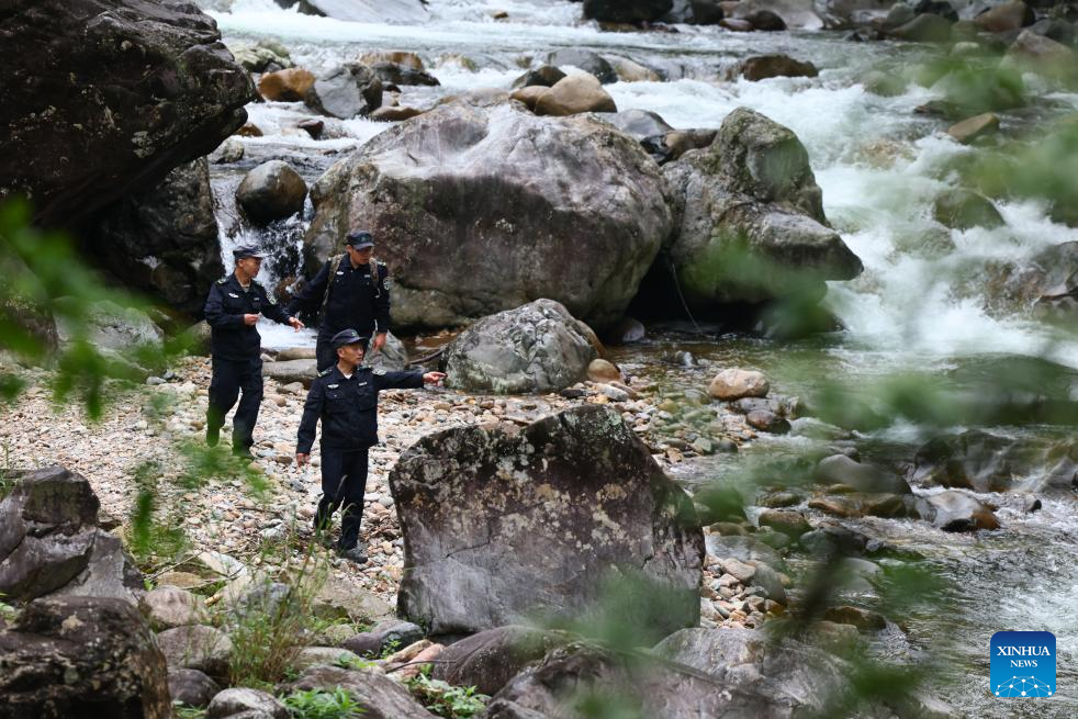 Local tea farmer guards Wuyishan National Park as part-time forest ranger in China's Fujian