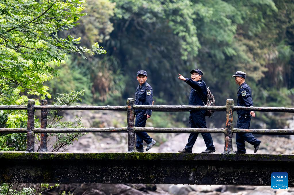 Local tea farmer guards Wuyishan National Park as part-time forest ranger in China's Fujian