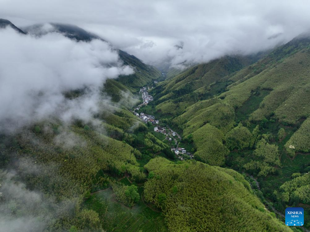 Local tea farmer guards Wuyishan National Park as part-time forest ranger in China's Fujian
