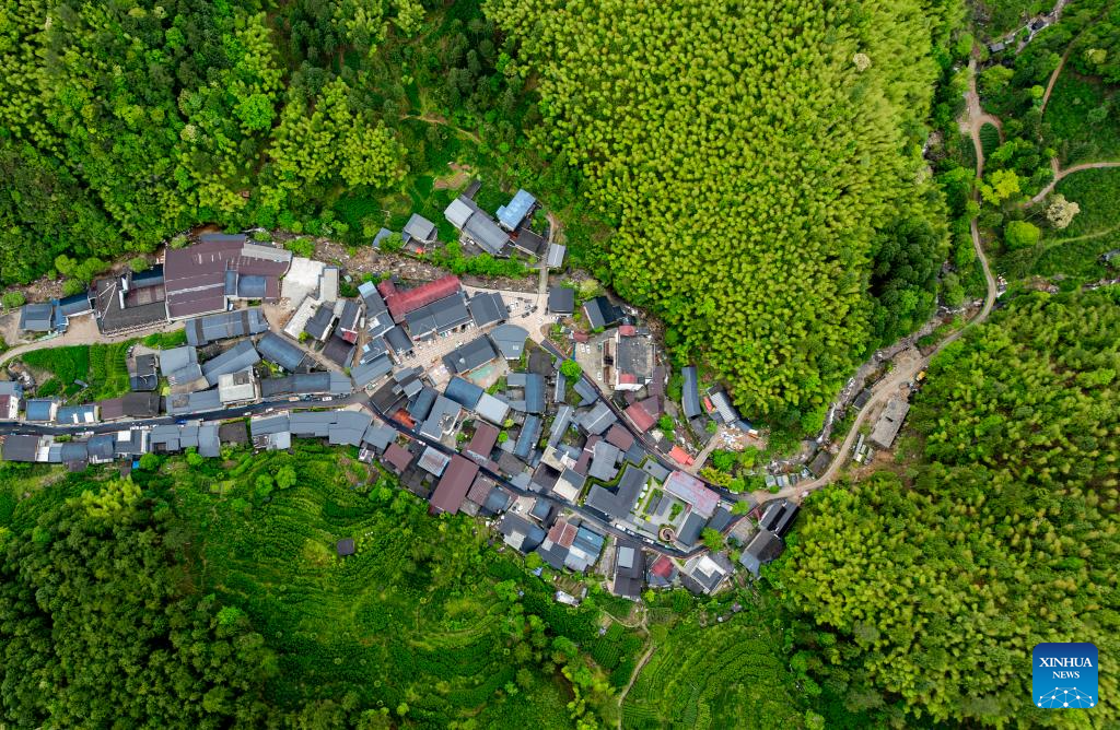 Local tea farmer guards Wuyishan National Park as part-time forest ranger in China's Fujian