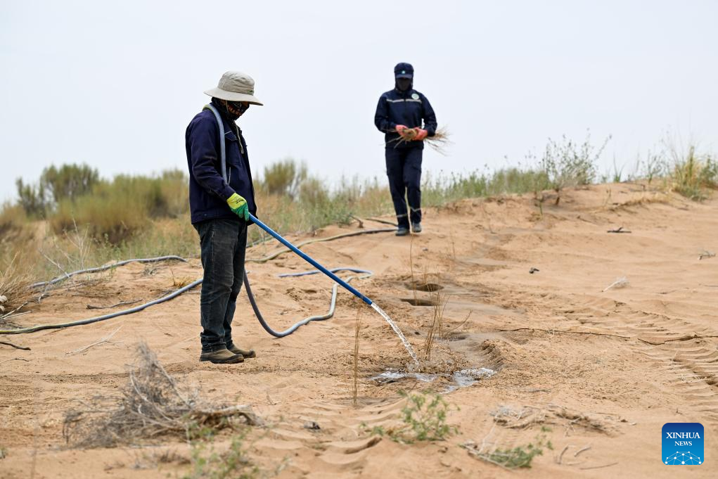 Ecological management of Ulan Buh Desert advances in China's Inner Mongolia