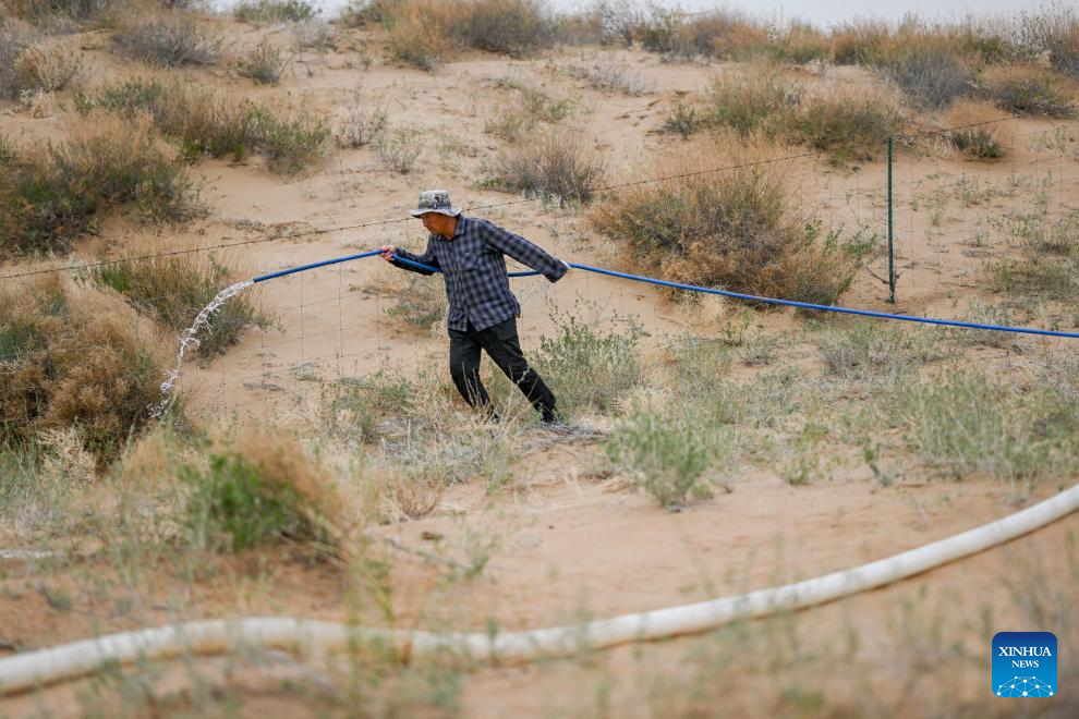 Ecological management of Ulan Buh Desert advances in China's Inner Mongolia
