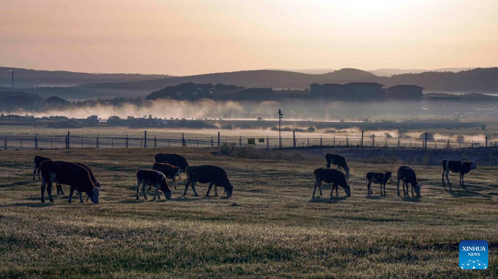 Scenery of Yudaokou pasture in Chengde, N China's Hebei