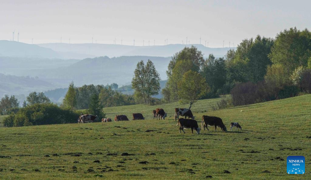 Scenery of Yudaokou pasture in Chengde, N China's Hebei